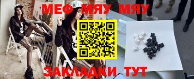 индика Гатчина