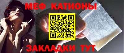 индика Гатчина