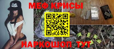 индика Гатчина