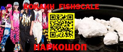 индика Гатчина