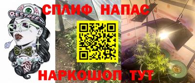 индика Гатчина