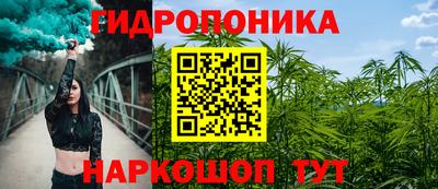 твердый Гусев