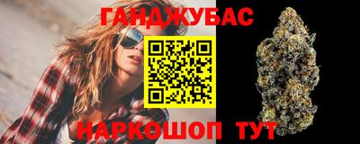индика Гатчина