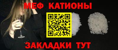 индика Гатчина